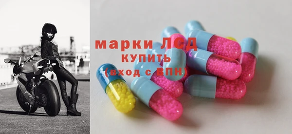 ГАЛЛЮЦИНОГЕННЫЕ ГРИБЫ Гусев