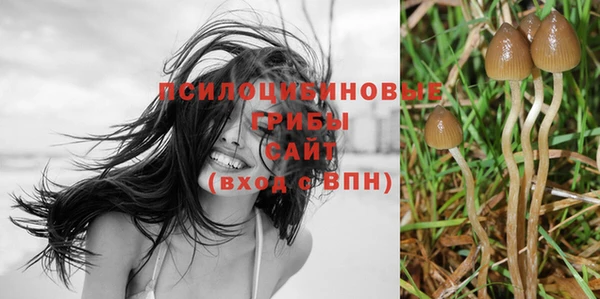 стаф Гусь-Хрустальный