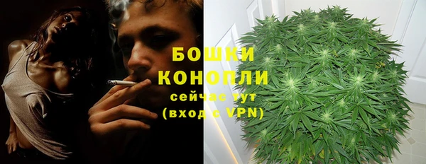 МДМА Горнозаводск