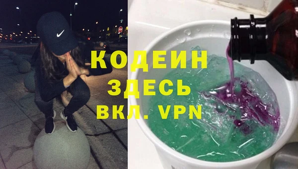 ГАЛЛЮЦИНОГЕННЫЕ ГРИБЫ Гусев