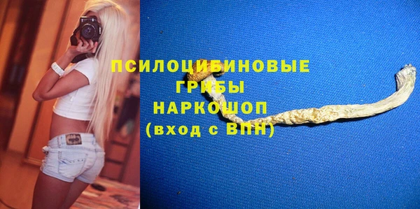 стаф Гусь-Хрустальный