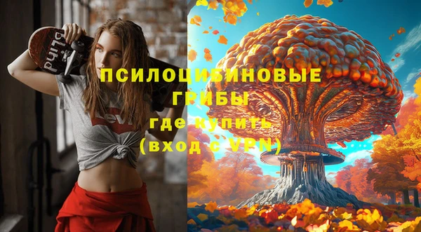 стаф Гусь-Хрустальный