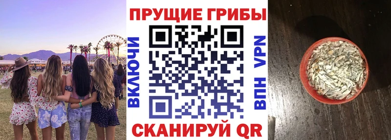 Купить где  Унеча  Галлюциногенные грибы мицелий 